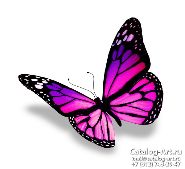  Butterflies 87